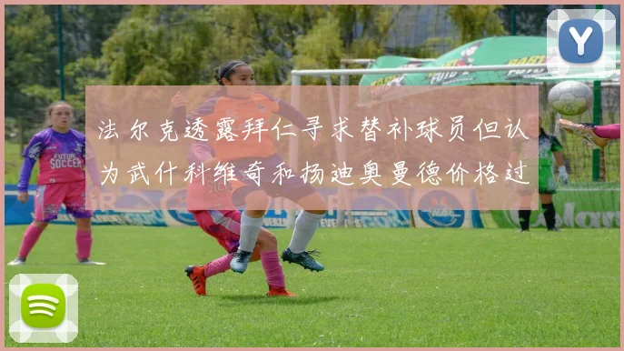 法尔克透露拜仁寻求替补球员但认为武什科维奇和扬迪奥曼德价格过高