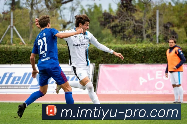 im体育APP 封面图